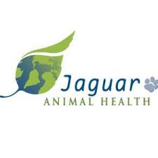 Jaguar health to host investor webcast monday, may 17th at 8:30 am eastern time regarding q1 2021 financials & business updates. Jaguar Animal Health Inc Jagx Shares Soar On Merger Approval