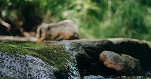  Pin Di Gambar Pemandangan Indah