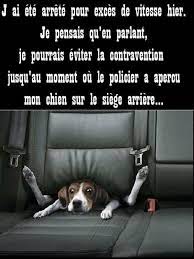 Pin En Humour France