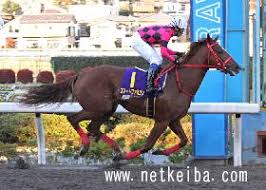 Sf・ファンタジー / アクション・アドベンチャー / ギャグ・コメディ / ロマンス. ã‚¹ãƒžãƒ¼ãƒˆãƒ•ã‚¡ãƒ«ã‚³ãƒ³ ç«¶èµ°é¦¬ãƒ‡ãƒ¼ã‚¿ Netkeiba Com