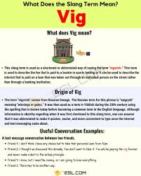 Vig Meaning How Do You Define The Interesting Term Vig 7 E S L In 2020 Vig Learn English General Knowledge
