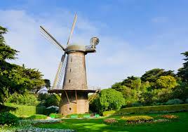 Dutch windmill and queen wilhelmina garden. Golden Gate Park Windmills Tulips