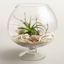 Epingle Sur Plantes
