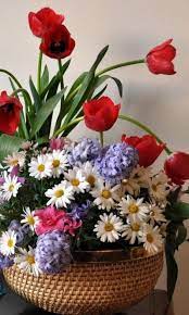 Pin Di Maria Antonia Su Nevnap Szulinap Fiori Bellissimi Fiori Buongiorno Fiori