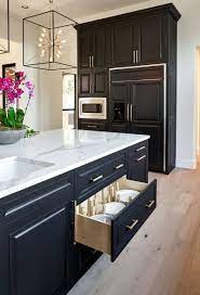 Black White And Gold Transitional Kitchen With European White Oak Floors Custom Peg Drawer Pullout Fo Interior Design Kitchen Kitchen Design Kitchen Remodel