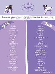 Before You Sneak Your Dog Some Table Scraps Check Out This List Of Food They Can And Can T Eat Mango Oatmeal Skin Butter Potato Skins
