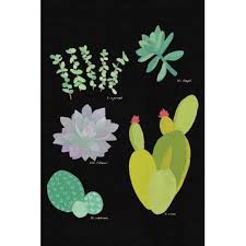Succulent Plant Chart Iii Painting Print On Wrapped Canvas