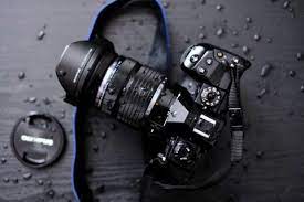 5 Great Mirrorless Cameras Perfect For Bird And Wildlife Photography In 2021 Mirrorless Camera Sony Camera Weather Seal