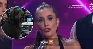 Dani Castro responde a críticas por llevar a su perrita Chalota a Fiebre de  Baile: “Ha rejuvenecido”