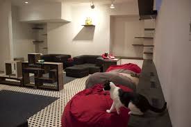 Don't have a cat café in your city? Koneko Cat Cafe America S First Japanese Cat Cafe