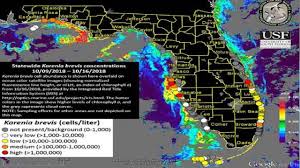 The bloom of the florida red tide organism karenia brevis is growing in southwest florida. These Florida Maps Show Where Red Tide Blue Green Algae Are The Worst