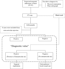 Image result for Traumatic Arthrotomy