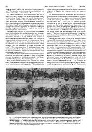 Image result for Elytrophorus globularis