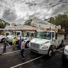 Image result for tbn:MYybcK8LAjkGzM::www.electvillage.com/up05/up/kk.jpg