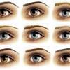 12 x master brow artist. 3