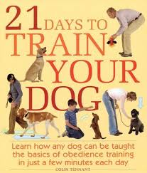 21 Days To Train Your Dog Learn How Any Dog Can Be Taught The Basics Of Obedience Training In Just A F Dog Training Obedience Training Your Dog Puppy Training