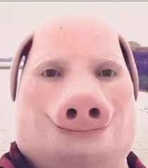 John Pork Is Gulity