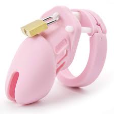 RZY Silicone Cock Cage Chastity Cage Chastity Device for Male Exercise (Pink)  : Amazon.com.au: Health, Household & Personal Care