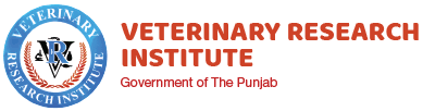 (showing both new and old job ads for reference). Welcome To Veterinary Research Institute Veterinary Research Institute