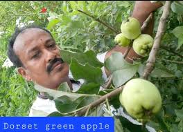 Lesson 46: “God is the Love in which I forgive.”** Today we learn how to  forgive. It's the most important thing we can do. God is the Love in which  we Forgive. *