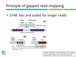 Rna Seq Mapping And Quality Control Part 3