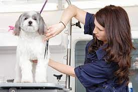 Mobile Pet Grooming: BusinessHAB.com