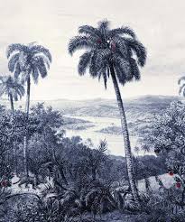 The quest for the zanzibar leopard is the running theme of the premiere of the animal planet. 290331 Zanzibar Leopard Stonewashed Indigo Emil Hugo