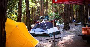 Belknap Campground In Sequoia Forest California Is Your Horse Itching For Some New Trails Is Your Bike Sick Sequoia Forest Best Campgrounds Camping Near Me