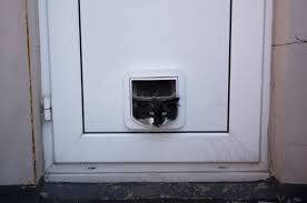 Maybe you would like to learn more about one of these? Cat Flap Advice Battersea