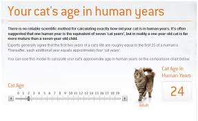 1.5 = 1 year and 6 months. How Old Is A 18 Year Old Cat In Cat Years Online