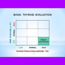 It can also be looked at as exponentiation involving the base 9 and the exponent 2. Thyroid The Nine Dr Ifthi S Unani Herbal Hospital Facebook