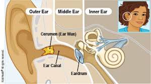 I guess twice a year is enough? Dealing With Earwax For Parents Nemours Kidshealth