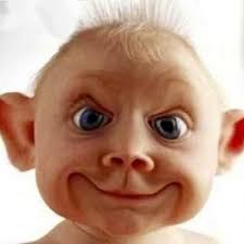 Declan ray (@Declandempster)