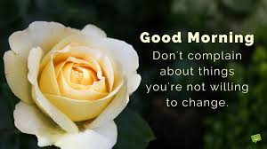 Yellow Rose Good Morning Hd Wallpaper These good morning images with flower will help spread the uplifting feeling that a new day brings. yellow rose good morning hd wallpaper