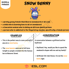 Snow Bunny What Does Snow Bunny Mean Helpful Examples 7 E S L Idioms And Phrases Slang Phrases Other Ways To Say