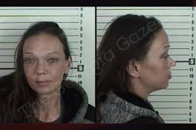 Stephanie Floyd — Camden County Jail Bookings