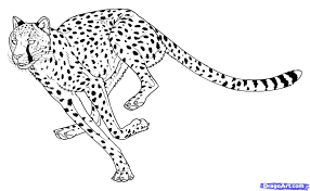 Learn how to draw easy cheetah pictures using … Cheetah Cartoon Drawing At Paintingvalley Com Explore Collection Of Cheetah Cartoon Drawing