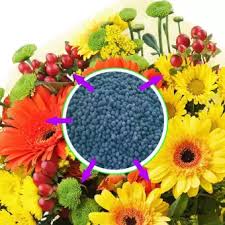 Application rates vary by product, so follow the instructions on the label. Bloom Booster Flower Fertilizer Buy Sell Online Best Prices In Srilanka Daraz Lk