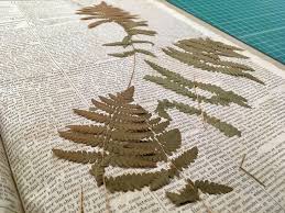 Sell for a 1% listing fee only if you also buy with redfin within 365 days of closing on your redfin listing. Ferns Found Pressed Between Pages Of 1823 Ocm At Mass State Library