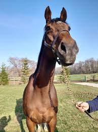 パンサラッサの母