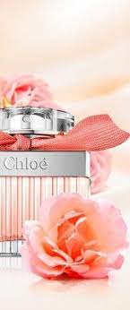 Check spelling or type a new query. Pin By Dor On Fragrance And Flowers Love Flowers Flower Fashion Flowers