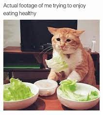 Pin On I Might Be Too Lazy To Make These Food