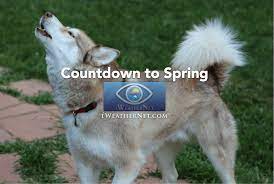 With james franco, selena gomez, vanessa hudgens, ashley benson. How Many Days Until Spring 2021