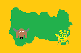 Bandeira Campina Verde - Minas Gerais