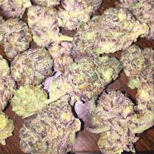 Hurricane Weed Strain Information