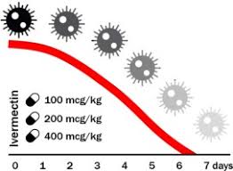 Onderzoeken tonen de preventieve werking aan en laten een daling van de sterftecijfers zien. Use Of Ivermectin In The Treatment Of Covid 19 A Pilot Trial Sciencedirect