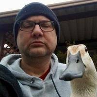 Donald Savarese Obituary