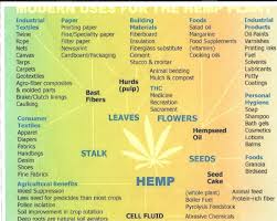 Hemp Healthy Today Hemp The Uses Are Endless