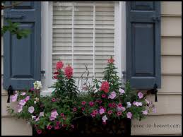 We celebrated with a delicous brunch at a local place here in acworth, dogwood terrace. Charleston Window Boxes Havoc To Heaven
