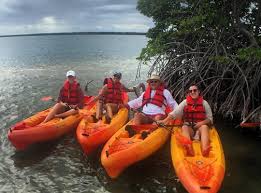 Sea Sup Go Paddle & Surf Company